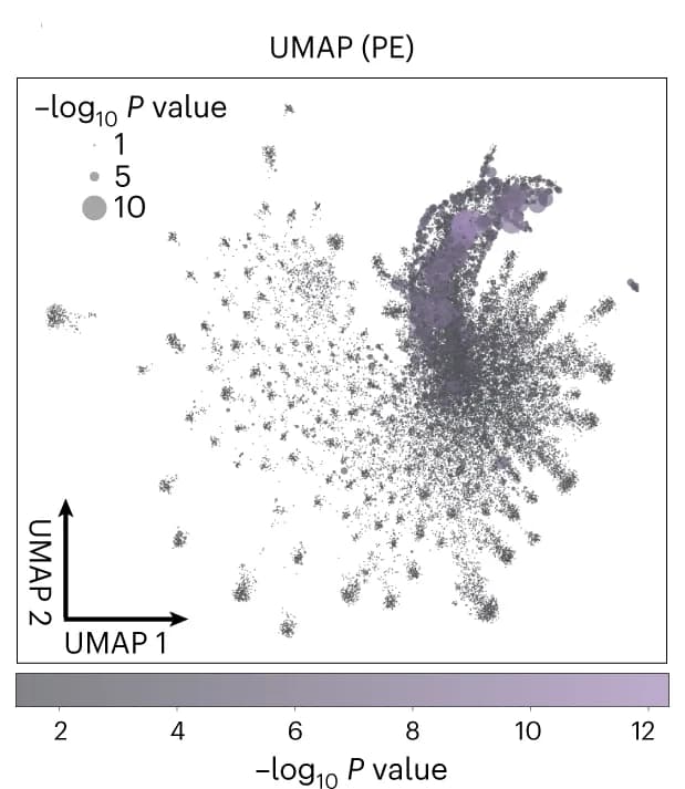 Open access visualization of UMAP, Bubble Plot, UMAP Visualization, cfRNA Transcriptomic Features, Node Size