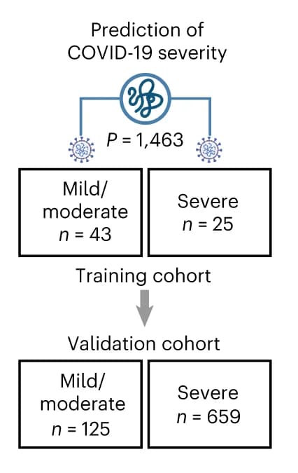 Open access visualization of Workflow, Flowchart, Clinical Case Study, COVID-19, Plasma Proteomic Data