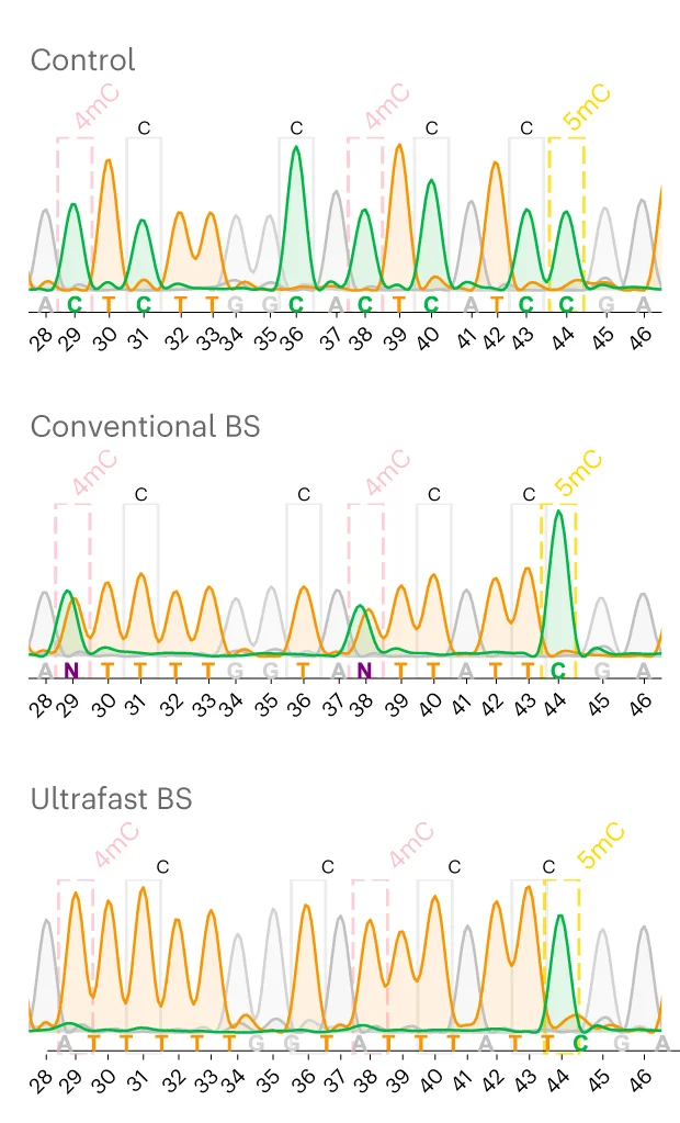 Open access visualization of Line Plot, Sanger Sequencing, UBS-1, 4mC Bases, BS-seq Condition