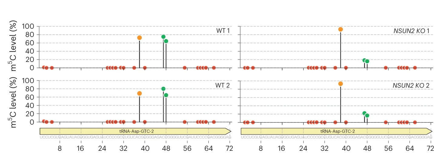 Open access visualization of Scatter Plot, Converted Ratio, C Sites, tRNA Asp GTC, WT Cells