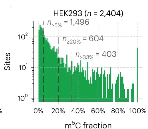 Open access visualization of Bar Plot, m5C Sites, mRNA, HEK293T Cells, Modification Fraction