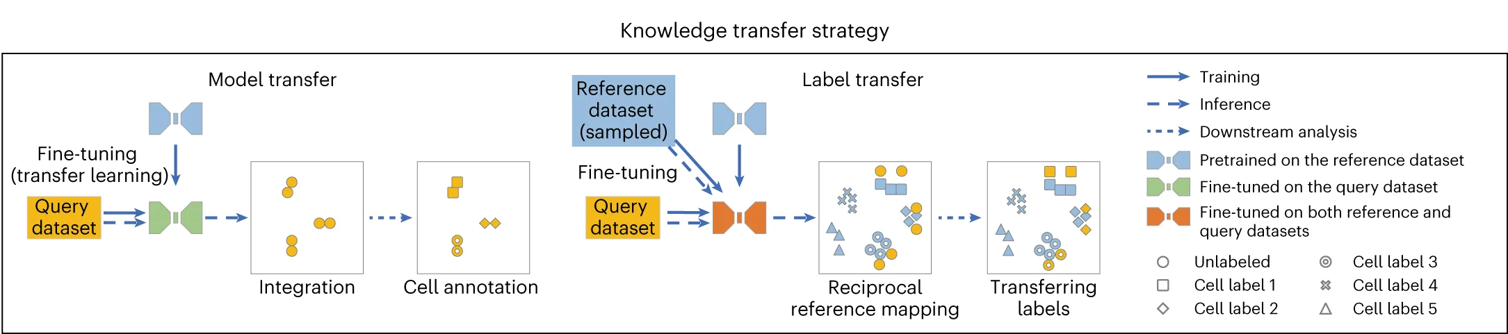Open access visualization of Workflow, Flowchart, Knowledge Transfer, Model Transfer, Label Transfer