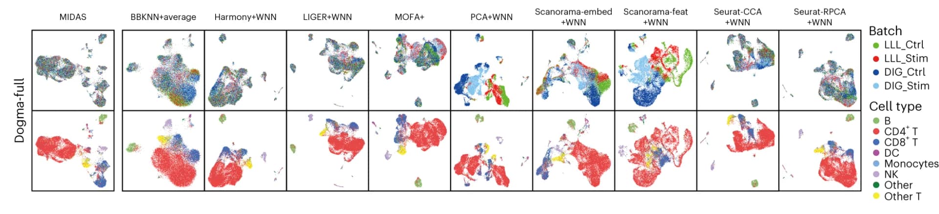 Open access visualization of Scatter Plot, UMAP, PCA, Cell Embeddings, MIDAS