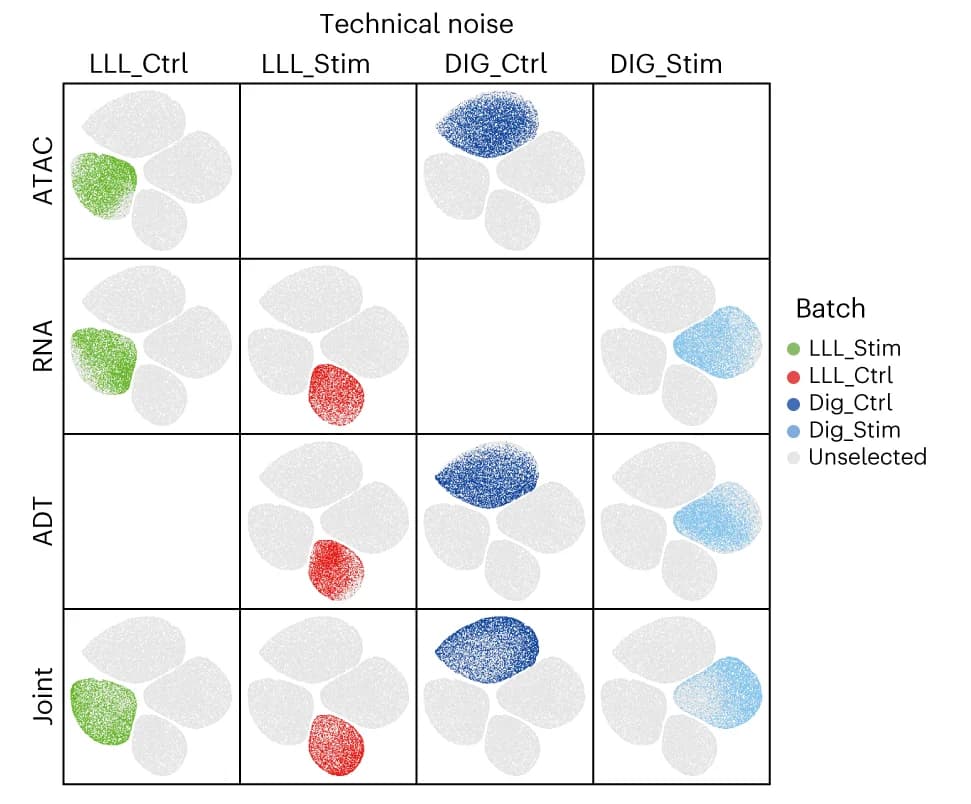 Open access visualization of Scatter Plot, UMAP, PCA, UMAP Visualization, Technical Noises