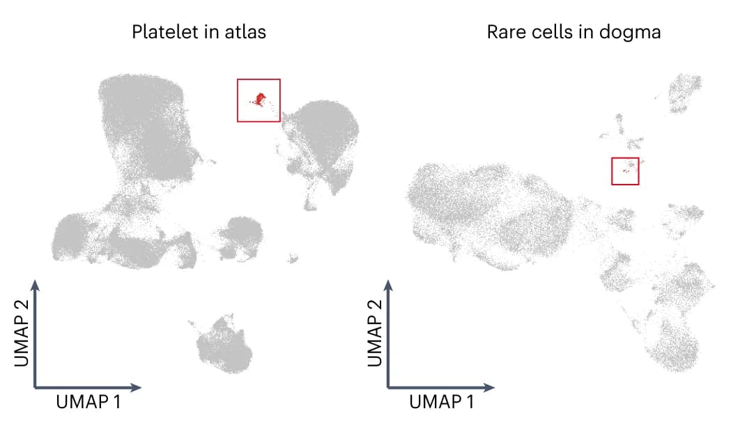 Open access visualization of Scatter Plot, UMAP, Platelets, Atlas, Platelet-like Cells