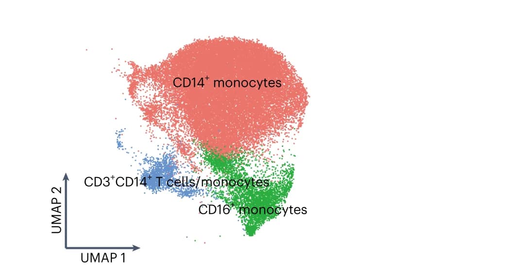 Open access visualization of Scatter Plot, UMAP, High-Resolution Clustering, Monocyte Types, Atlas