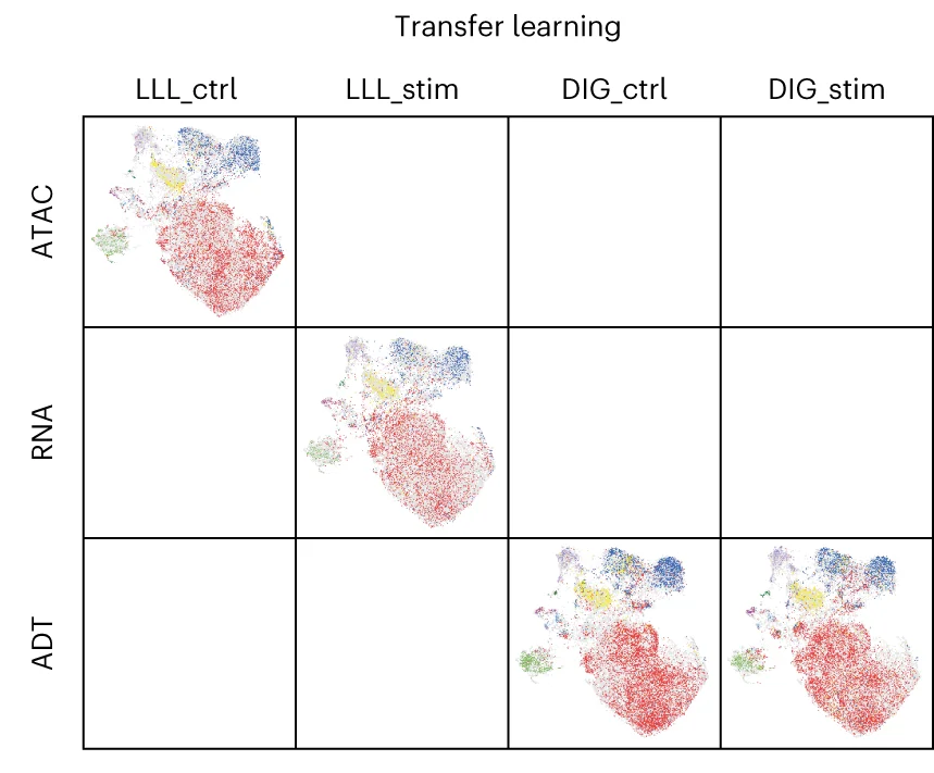 Open access visualization of Scatter Plot, UMAP, UMAP Visualization, Biological States, Transfer-Learned MIDAS