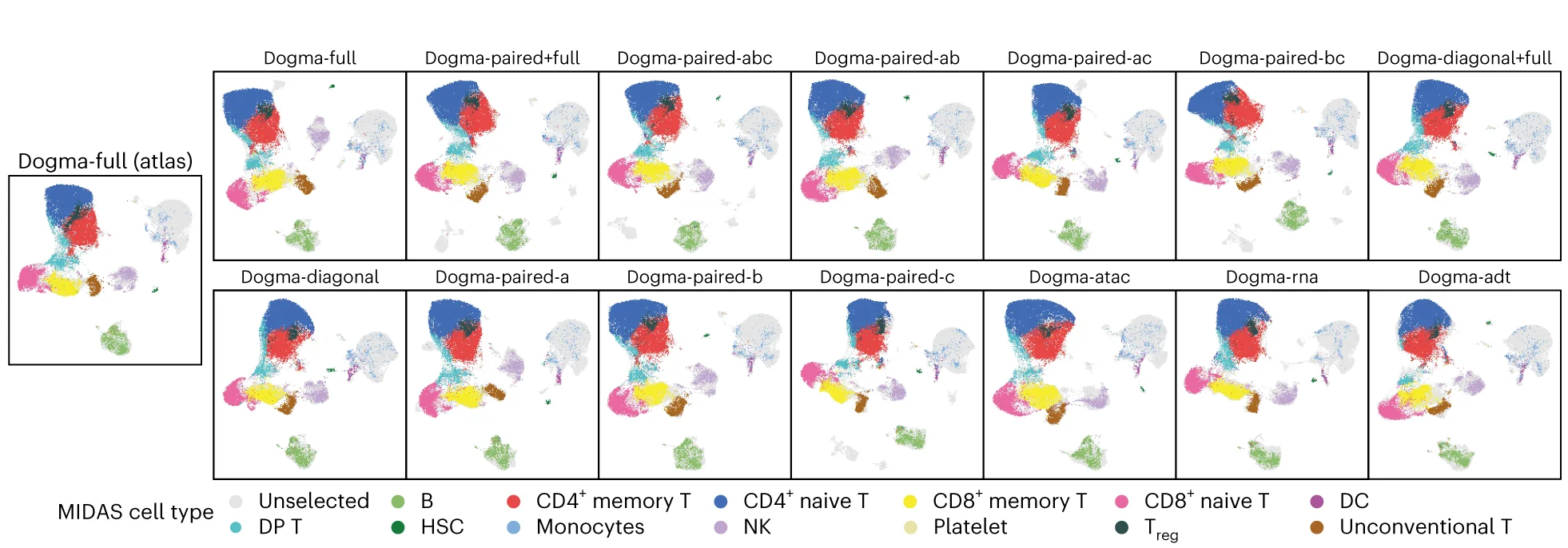 Open access visualization of Scatter Plot, UMAP, PCA, UMAP Visualization, Biological States