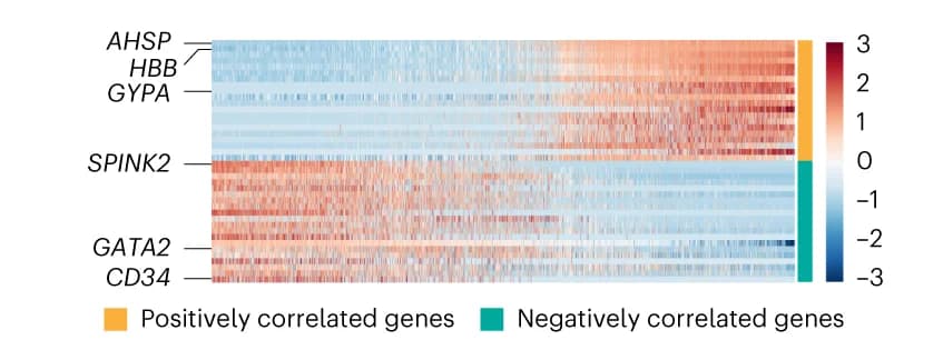 Open access visualization of Heatmap, Heat Map, Gene Expression, C23, Correlated Genes