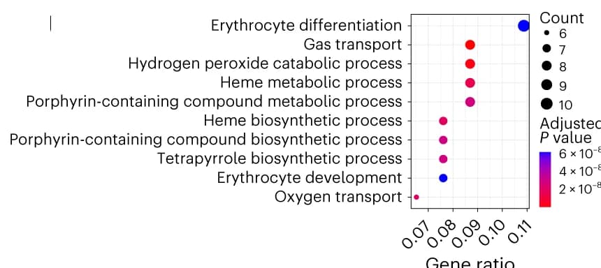 Open access visualization of Scatter Plot, Bubble Plot, Dot Plot, Gene Ontology, Biological Process