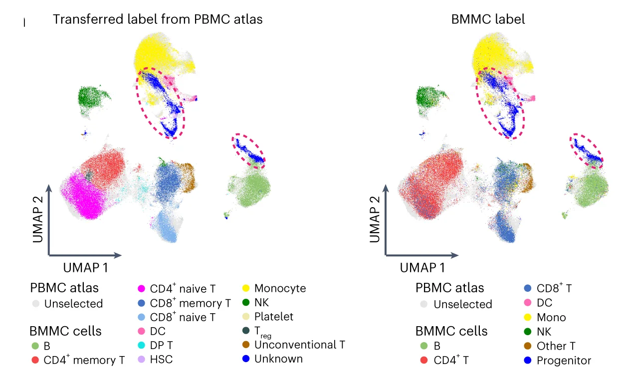 Open access visualization of Scatter Plot, UMAP, Biological States, Cross-Tissue Mapping, PBMC Atlas