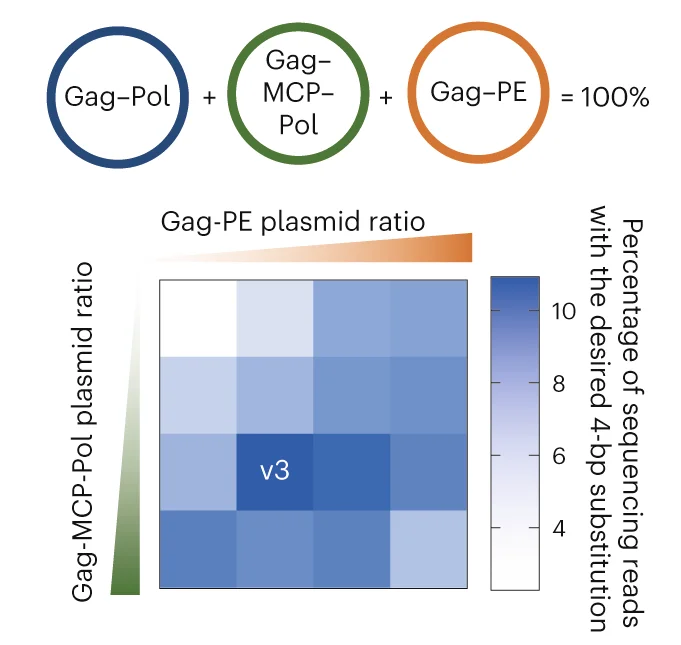 Open access visualization of Heatmap, Editing Efficiencies, Stoichiometry Optimization, Gag-Pol, Gag-MCP-Pol