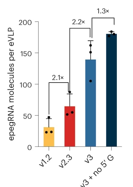 Open access visualization of Bar Plot, Error Bars, Quantification, epegRNAs, eVLP