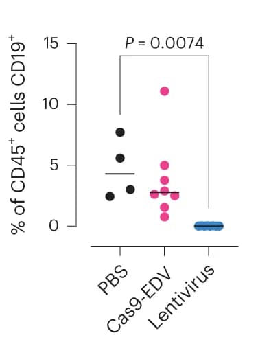 Open access visualization of Box Plot, Scatter Plot, CD19+ B Cells, T Cell Targeted Lentivirus, Human CD45+ Cells