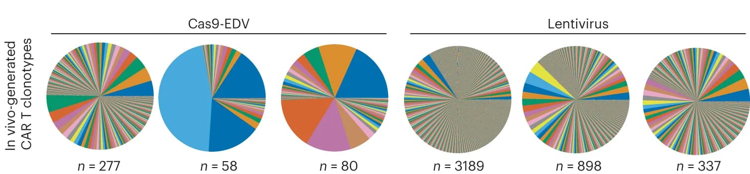 Open access visualization of Pie Chart, T Cell Receptor Clonotypes, CAR Transduced T Cells, Humanized Mice, T Cell Targeted Cas9-EDV