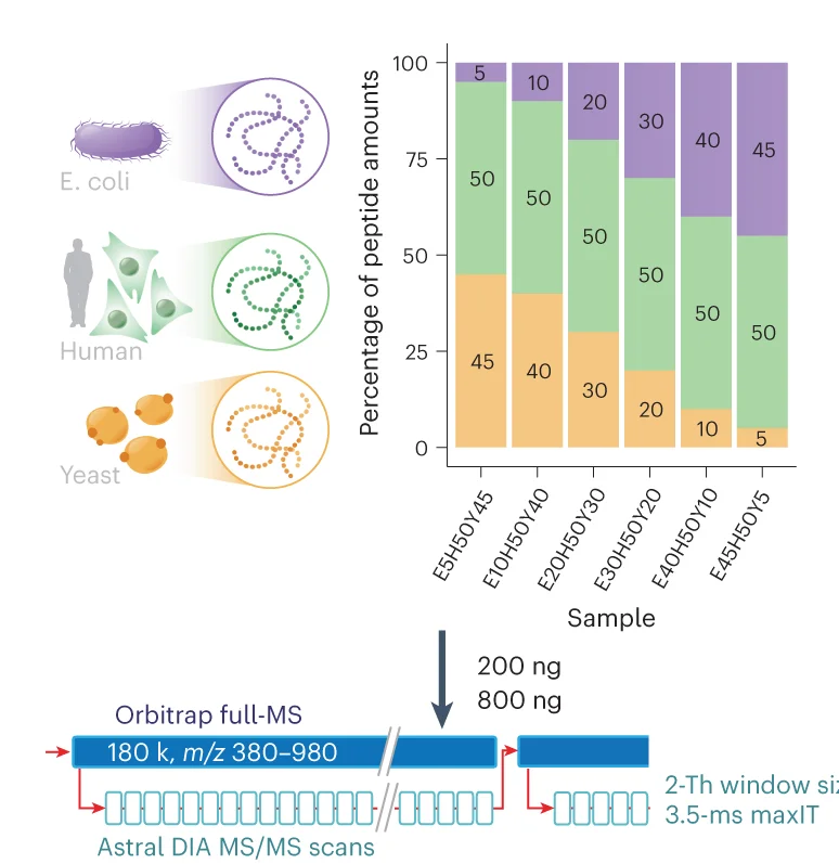 Open access visualization of Stacked Bar Plot, Workflow, Experimental Design, Tryptic Peptides, Orbitrap Astral Mass Spectrometer