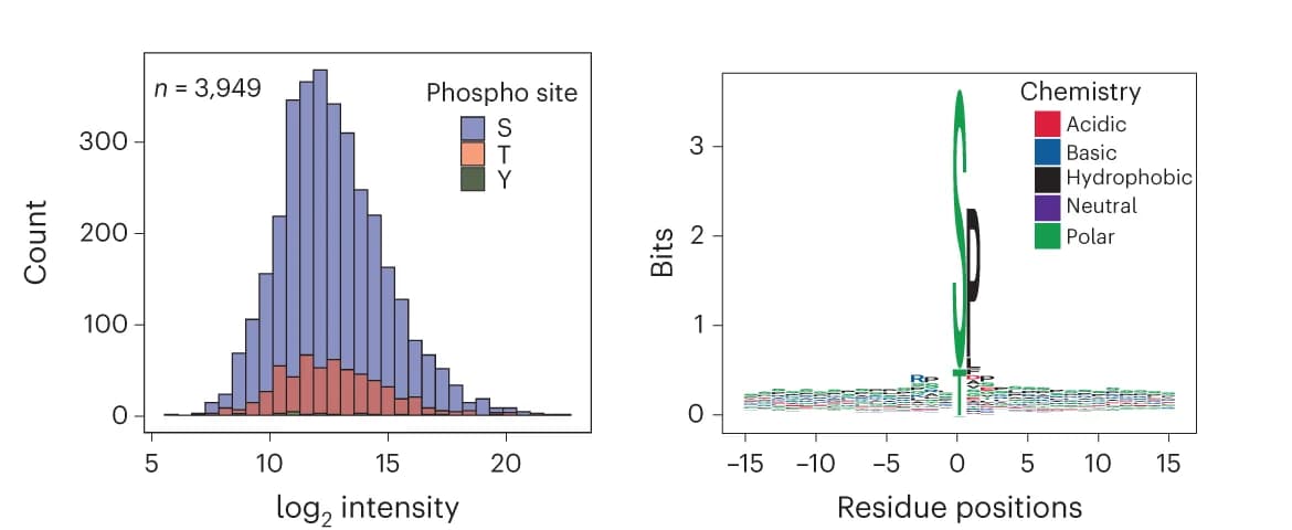 Open access visualization of Bar Plot, Stacked Bar Plot, Line Plot, Phosphorylation Sites, Abundance