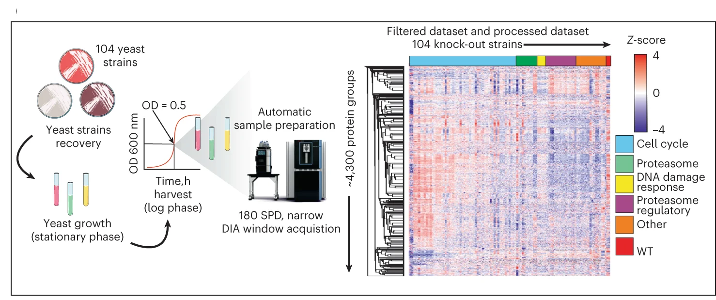 Open access visualization of Heatmap, Clustered, Line Plot, Workflow, Photo