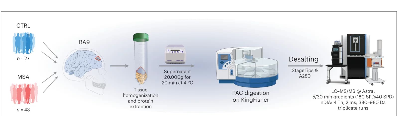 Open access visualization of Workflow, Illustration, Sample Preparation, Broadmann’s Area 9, Biopsies