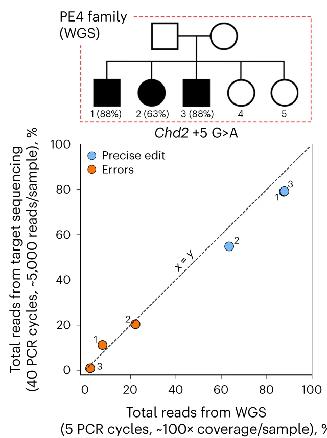 Open access visualization of Scatter Plot, Network, Pedigree, PE4 Family, Progeny