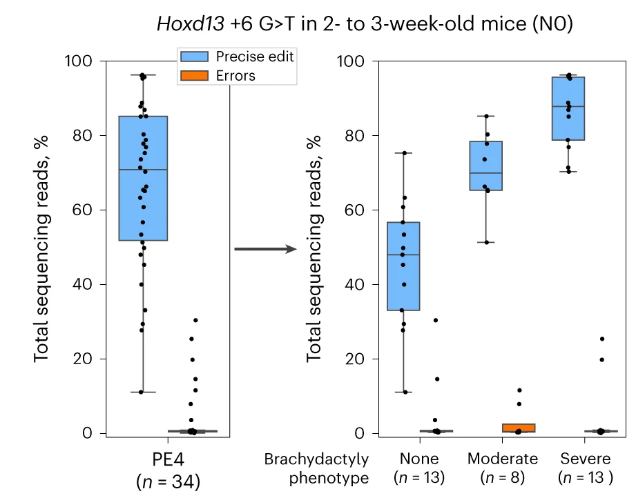 Open access visualization of Box Plot, Scatter Plot, Reads, Hoxd13, Ear Clips
