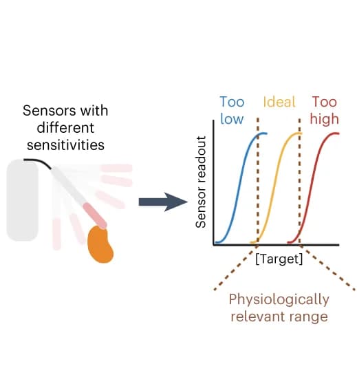 Open access visualization of Line Plot, Illustration, Sensor Sensitivity, Concentration Range