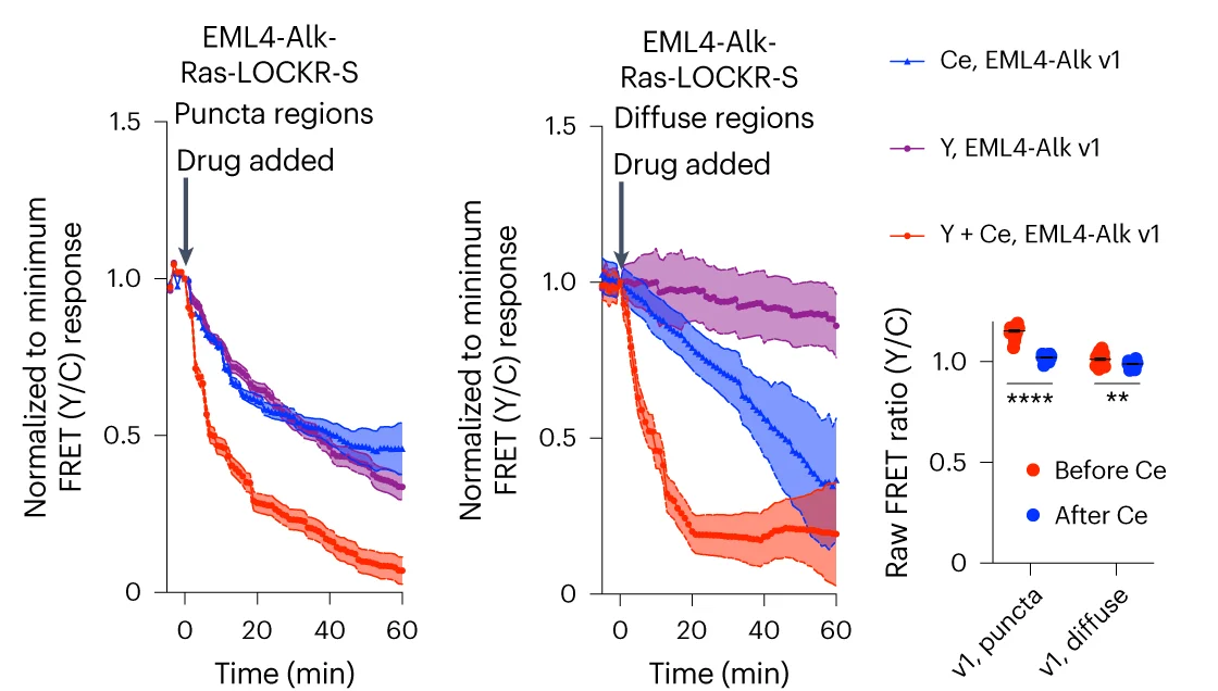 Open access visualization of Line Plot, Error Bars, Box Plot, FRET, Beas2B Cells