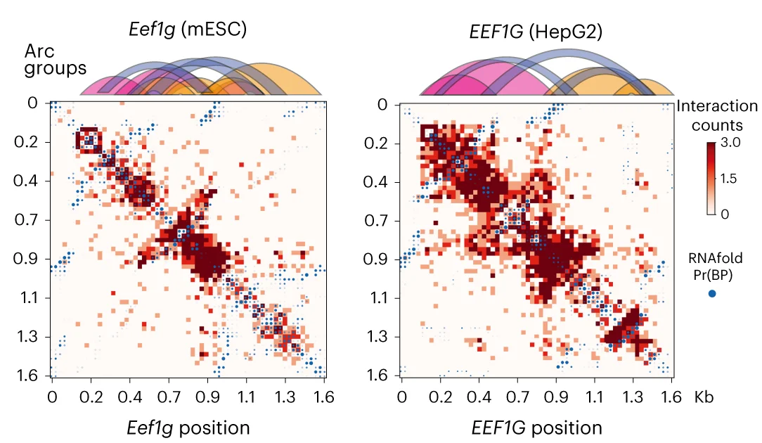 Open access visualization of Heatmap, Scatter Plot, Network, KARR-seq, Interaction Maps