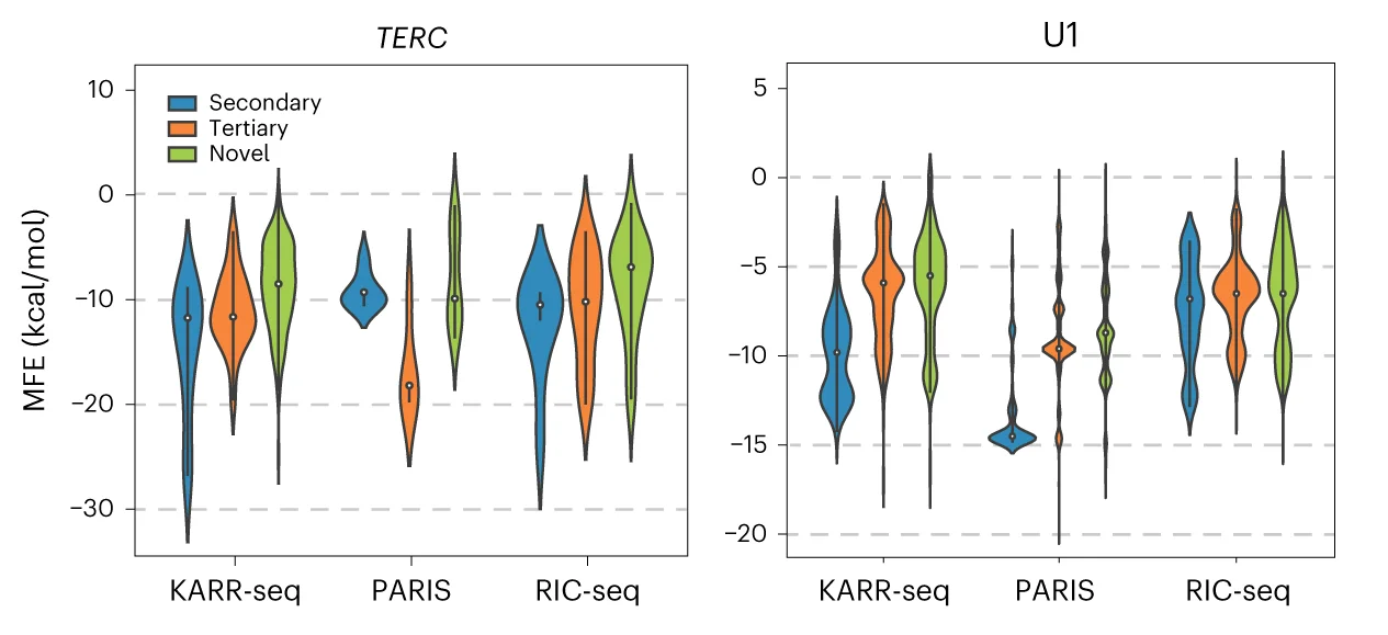 Open access visualization of Violin Plot, MFE, RNA-RNA Interactions, KARR-seq, PARIS