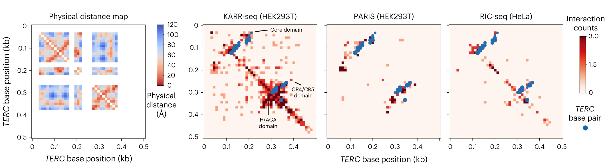 Open access visualization of Heatmap, Scatter Plot, Physical Distance Map, TERC, Cryo-EM Structure