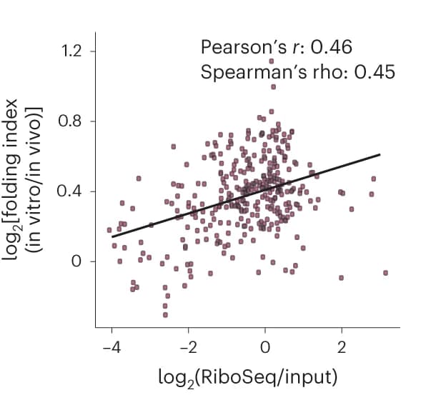 Open access visualization of Scatter Plot, Regression Plot, Ribosome Binding, RNA-RNA Interactions, HepG2 Cells