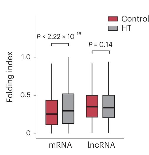 Open access visualization of Box Plot, Folding Index, mRNA, lncRNA, Control