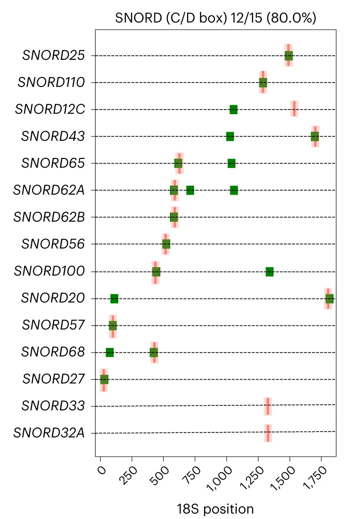 Open access visualization of Scatter Plot, Error Bars, C/D Box snoRNA, 18S, K562 Cells