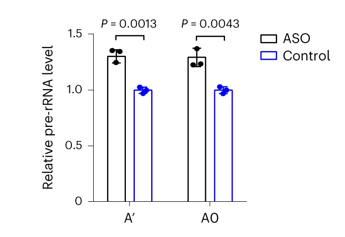 Open access visualization of Bar Plot, Error Bars, Clustered, Scatter Plot, Pre-rRNA Levels