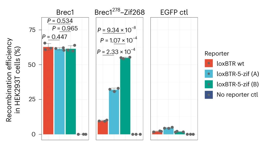 Open access visualization of Bar Plot, Error Bars, Clustered, Scatter Plot, Recombination Efficiencies