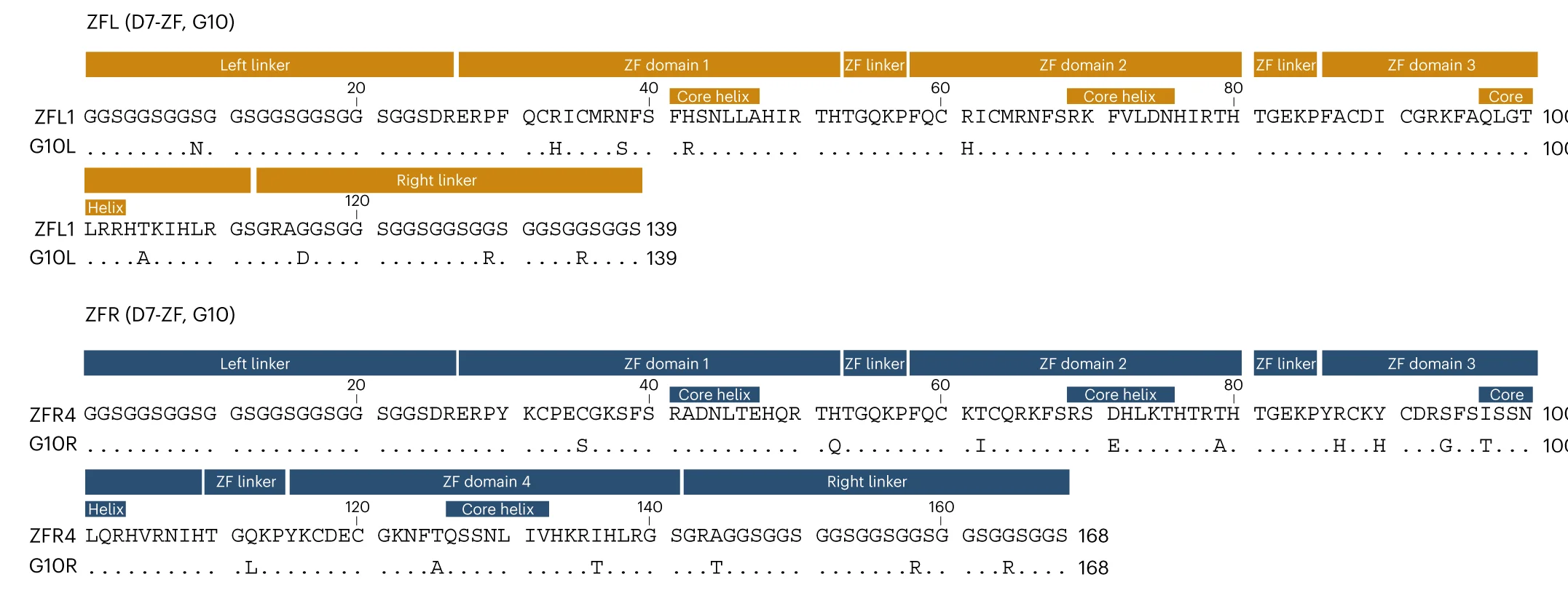 Open access visualization of Illustration, Mutation Analysis, Amino Acid Sequence, Conserved Residues