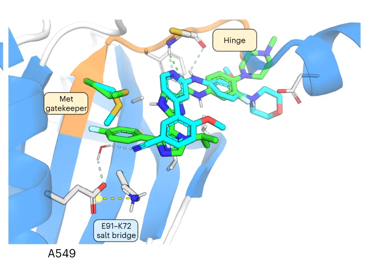 Open access visualization of Protein Structure, Chemical Structure, Crystal Structure, TNIK Kinase Domain, Binding Mode