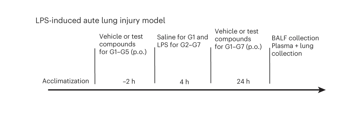 Open access visualization of Workflow, Flowchart, INS018_055, LPS-Induced Acute Lung Injury Model, C57BL/6 Male Mice