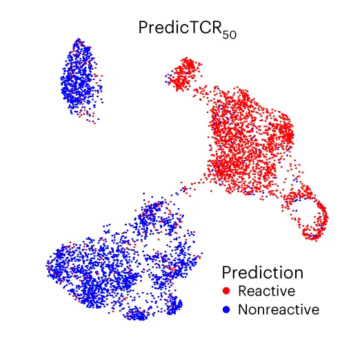 Open access visualization of Scatter Plot, UMAP, UMAP Plot, Tumor-reactivity, TCR