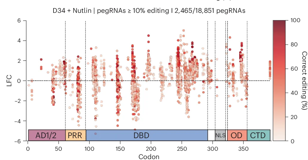 Open access visualization of Scatter Plot, LFC, pegRNA, Sensor Reads, Nutlin-treated Condition