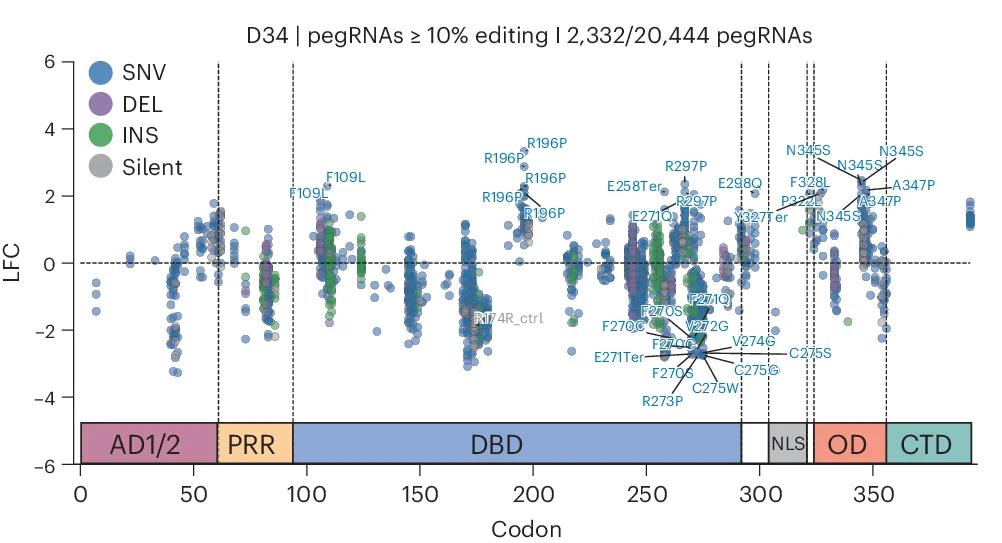 Open access visualization of Scatter Plot, pegRNA, Variant Type, Enrichment, LFC