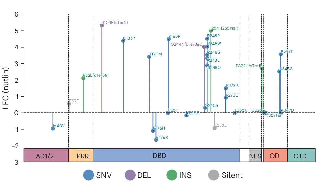 Open access visualization of Scatter Plot, LFC, pegRNAs, Validation, Nutlin-treated Condition