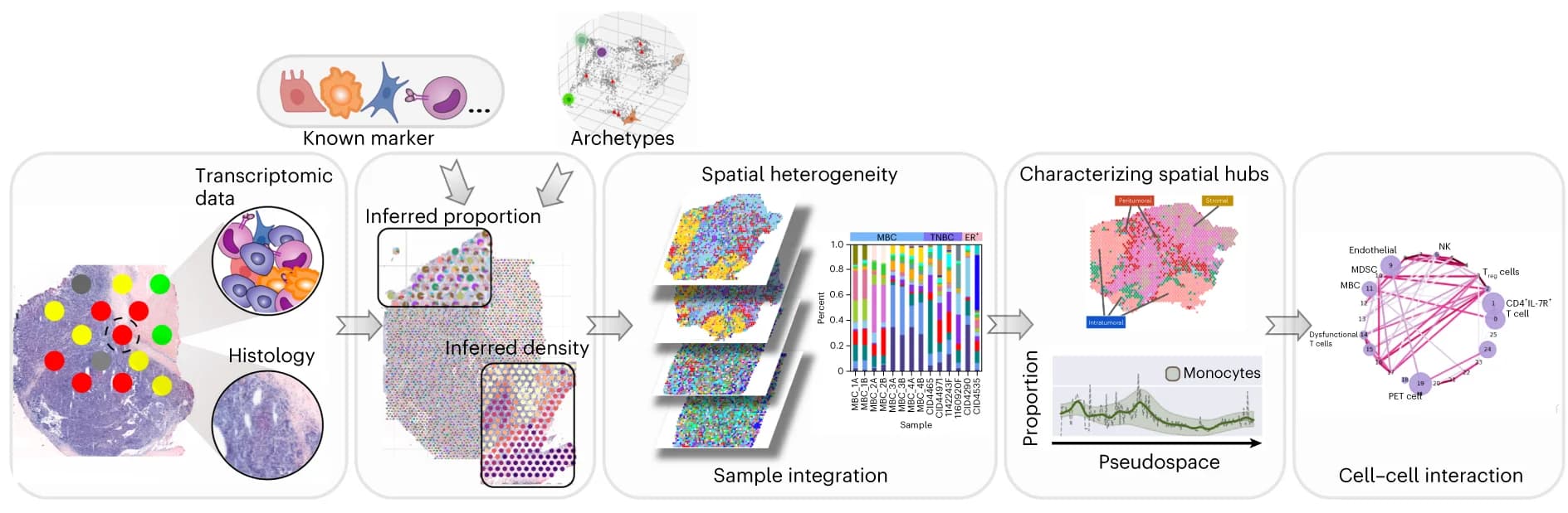 Open access visualization of Workflow, Illustration, Stacked Bar Plot, Line Plot, Error Bars