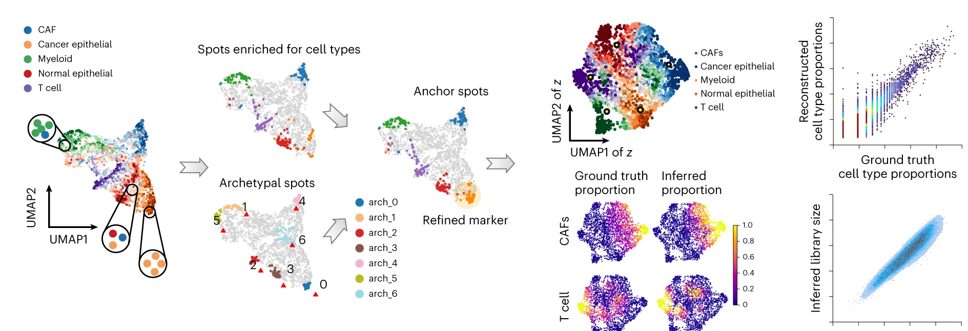 Open access visualization of Scatter Plot, UMAP, Bubble Plot, ST Data, Spots