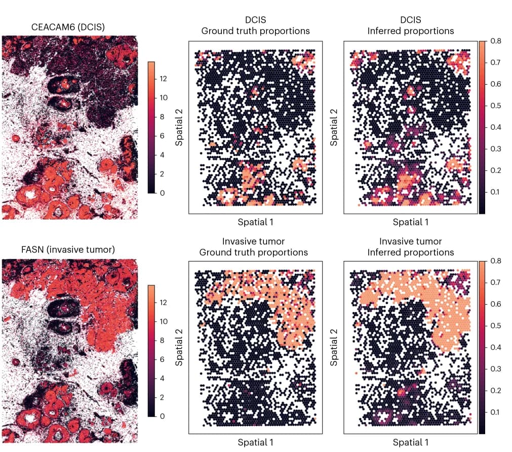 Open access visualization of Microscopy, Scatter Plot, Heatmap, Spatial Distribution, Marker Expression