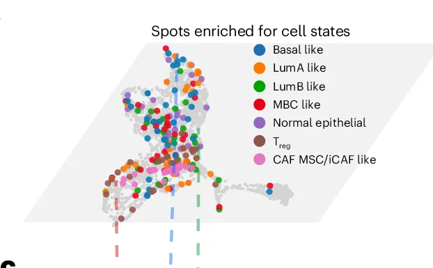 Open access visualization of Scatter Plot, UMAP, UMAP Projection, ST Data, Cell States