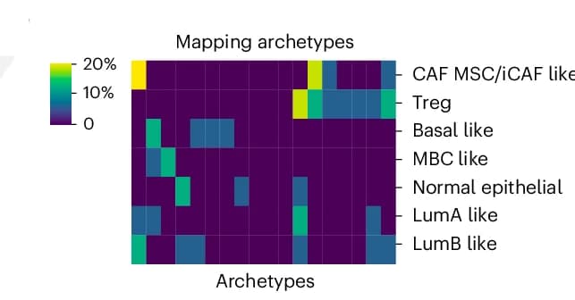 Open access visualization of Heatmap, Archetypes, Cell States