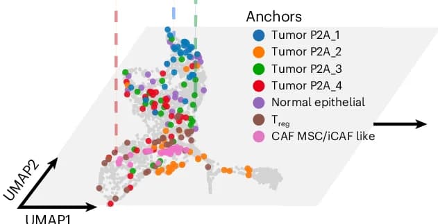 Open access visualization of Scatter Plot, UMAP, Cell States, Archetypes, Tumor States