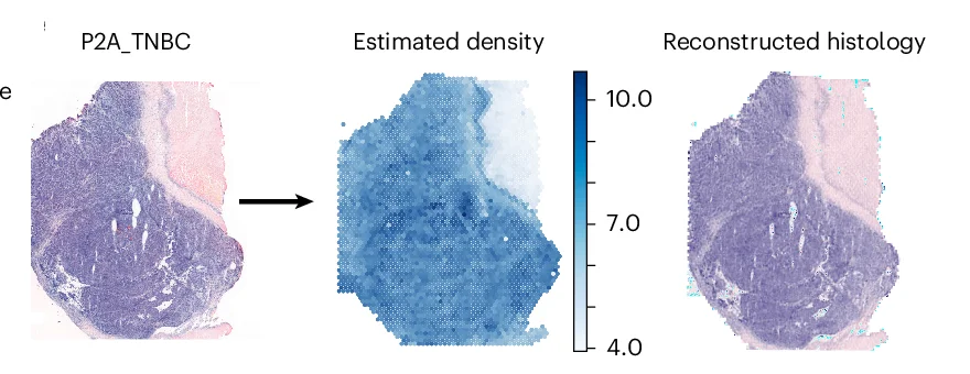 Open access visualization of Heatmap, Histology, Cell Density