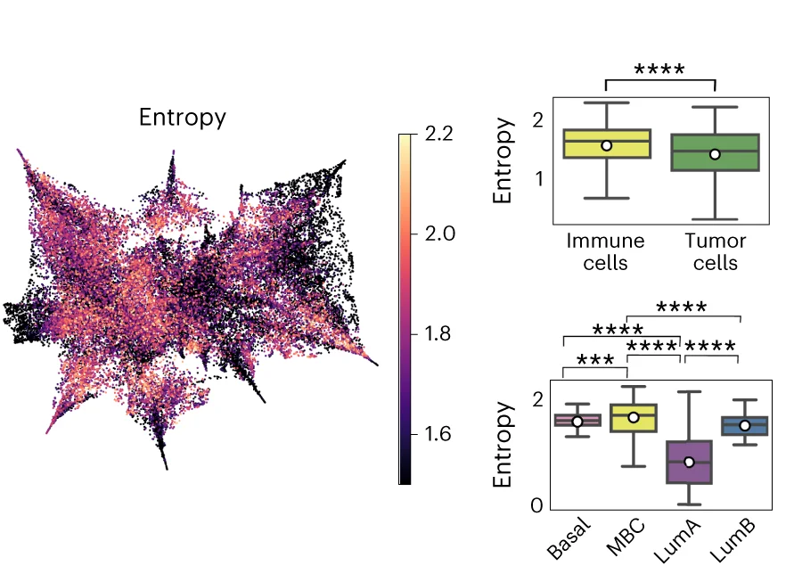 Open access visualization of UMAP, Box Plot, Integrated Space, Shannon Entropy, Spots